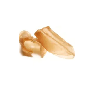 Ureche naturala de vita albita 20/25 cm