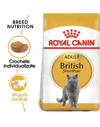 Royal Canin British Shorthair Adult hrana uscata pisica 10 kg + hrana umeda 12x85g