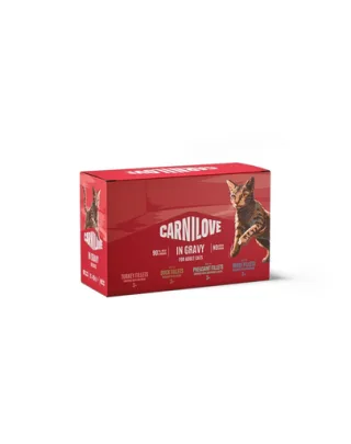 Hrană umedă pisici CARNILOVE Gravy Multipack 12 x 85 g fileuri în sos, 4 arome