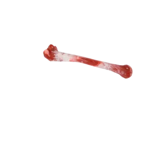 All for paws Jucarie Bone Appetite Shinbone pentru Caini