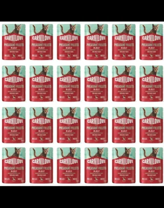 Hrană umedă în jeleu pentru pisică CARNILOVE Cat Pouch Jelly Pheasant 24x85 g file fazan și frunze de zmeur