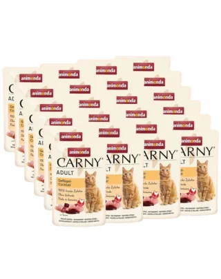 ANIMONDA Carny Adult hrană umedă pentru pisici cu cocktail de pasăre 24x85 g