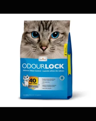 INTERSAND Odour Lock nisip pentru pisici fără parfum 6 kg