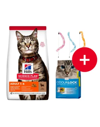 HILL'S Science Plan Feline Adult with Lamb 10kg dla dorosłych kotów z jagnięciną + żwirek i zabawka dla kota GRATIS